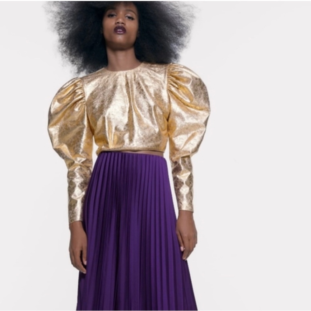 Zara Metallic Cropped Blouse